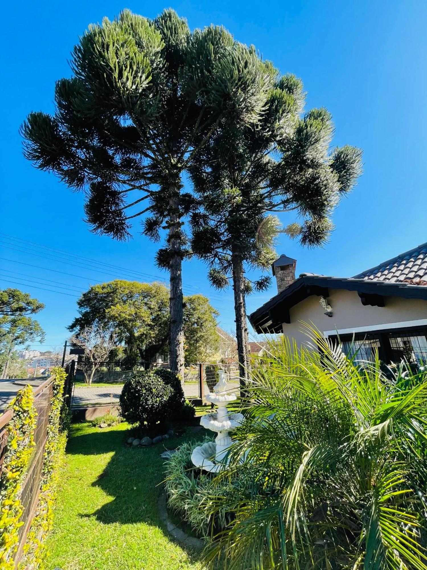 Residencial Pine House Hotel Canela Bagian luar foto